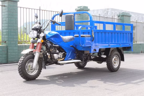 Three Wheeler Training